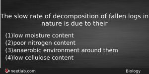 The Slow Rate Of Decomposition Of Fallen Logs In Nature Biology Question