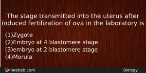 The Stage Transmitted Into The Uterus After Induced Fertilization Of Biology Question