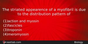 The Striated Appearence Of A Myofibril Is Due To The Biology Question