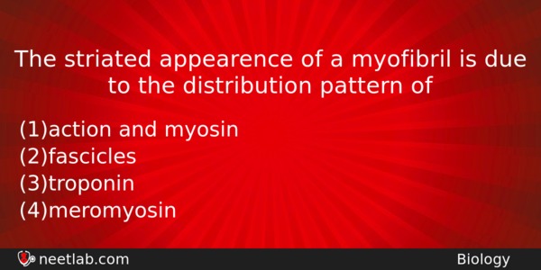 The Striated Appearence Of A Myofibril Is Due To The Biology Question 
