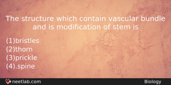 The Structure Which Contain Vascular Bundle And Is Modification Of Biology Question 