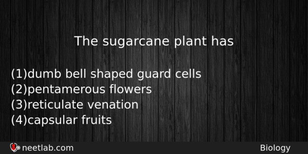 The Sugarcane Plant Has Biology Question 