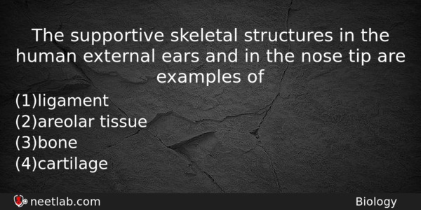 The Supportive Skeletal Structures In The Human External Ears And Biology Question 