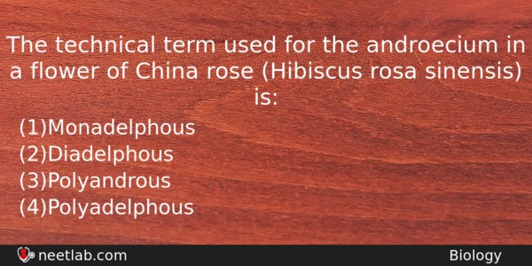 The Technical Term Used For The Androecium In A Flower Biology Question 