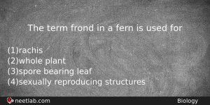 The Term Frond In A Fern Is Used For Biology Question
