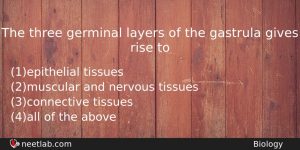 The Three Germinal Layers Of The Gastrula Gives Rise To Biology Question