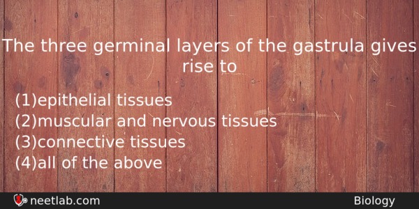 The Three Germinal Layers Of The Gastrula Gives Rise To Biology Question 