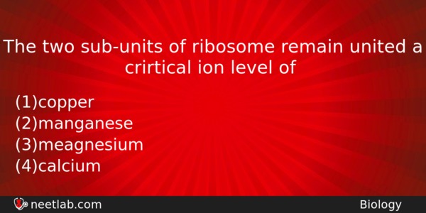 The Two Subunits Of Ribosome Remain United A Crirtical Ion Biology Question 