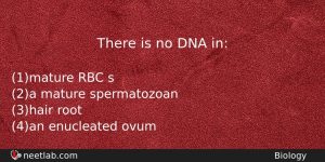 There Is No Dna In Biology Question