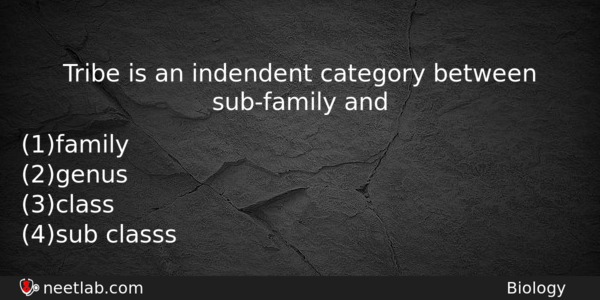Tribe Is An Indendent Category Between Subfamily And Biology Question 