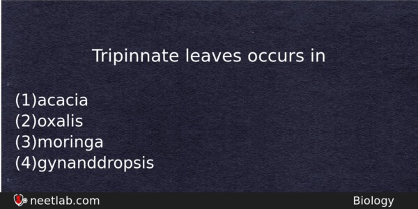 Tripinnate Leaves Occurs In Biology Question 