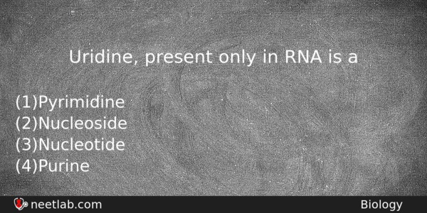 Uridine Present Only In Rna Is A Biology Question 