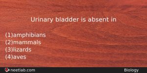 Urinary Bladder Is Absent In Biology Question