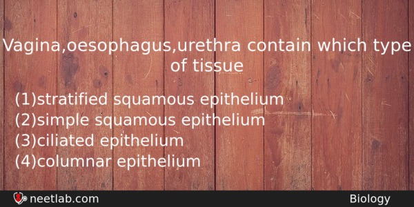 Vaginaoesophagusurethra Contain Which Type Of Tissue Biology Question 