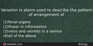 Venation Is Aterm Used To Describe The Pattern Of Arrangement Biology Question