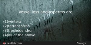 Vessel Less Angiosperms Are Biology Question