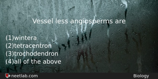 Vessel Less Angiosperms Are Biology Question 