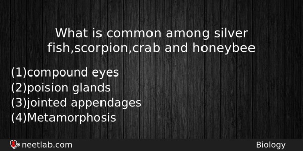 What Is Common Among Silver Fishscorpioncrab And Honeybee Biology Question 