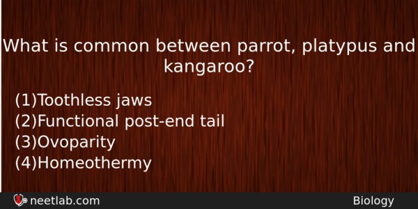 What Is Common Between Parrot Platypus And Kangaroo Biology Question 