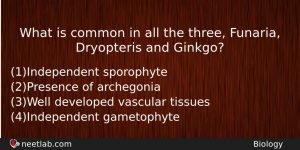 What Is Common In All The Three Funaria Dryopteris And Biology Question