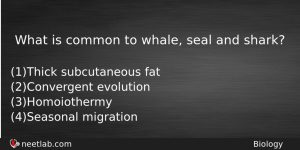 What Is Common To Whale Seal And Shark Biology Question