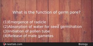 What Is The Function Of Germ Pore Biology Question
