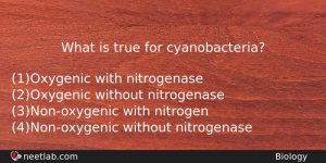 What Is True For Cyanobacteria Biology Question