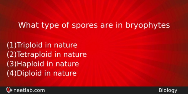 What Type Of Spores Are In Bryophytes Biology Question 