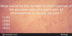 What Would Be The Number Of Chromosomes Of The Aleurone Biology Question