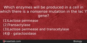 Which Enzymes Will Be Produced In A Cell In Which Biology Question