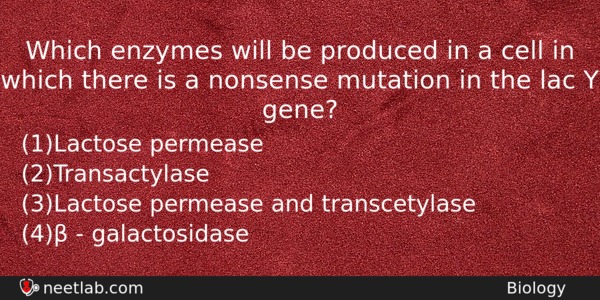 Which Enzymes Will Be Produced In A Cell In Which Biology Question 