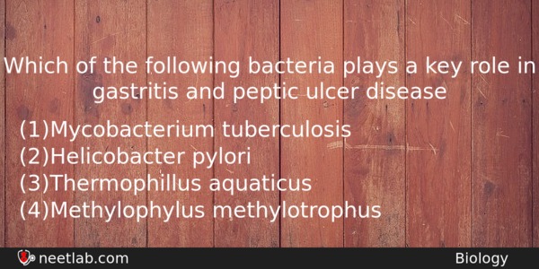 Which Of The Following Bacteria Plays A Key Role In Biology Question 