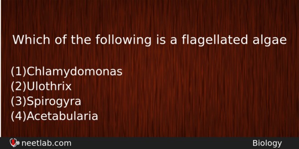 Which Of The Following Is A Flagellated Algae Biology Question 