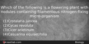 Which Of The Following Is A Flowering Plant With Nodules Biology Question