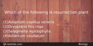 Which Of The Following Is Resurrection Plant Biology Question