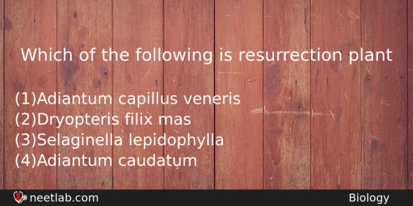 Which Of The Following Is Resurrection Plant Biology Question 