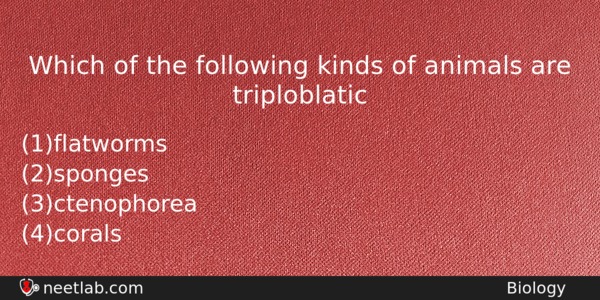 Which Of The Following Kinds Of Animals Are Triploblatic Biology Question 