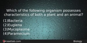 Which Of The Following Organism Possesses Characteristics Of Both A Biology Question