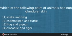 Which Of The Following Pairs Of Animals Has Non Glandular Biology Question