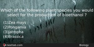 Which Of The Following Plant Species You Would Select For Biology Question
