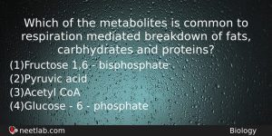 Which Of The Metabolites Is Common To Respiration Mediated Breakdown Biology Question