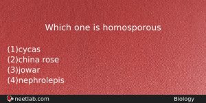 Which One Is Homosporous Biology Question