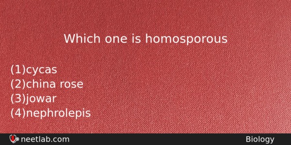 Which One Is Homosporous Biology Question 