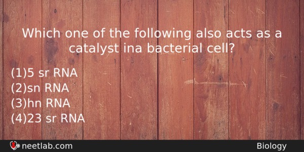 Which One Of The Following Also Acts As A Catalyst Biology Question 