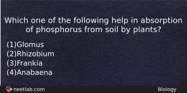 Which One Of The Following Help In Absorption Of Phosphorus Biology Question 