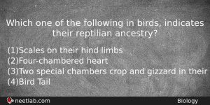 Which One Of The Following In Birds Indicates Their Reptilian Biology Question