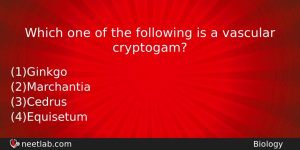 Which One Of The Following Is A Vascular Cryptogam Biology Question
