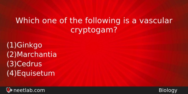 Which One Of The Following Is A Vascular Cryptogam Biology Question 
