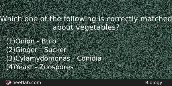 Which One Of The Following Is Correctly Matched About Vegetables Biology Question 