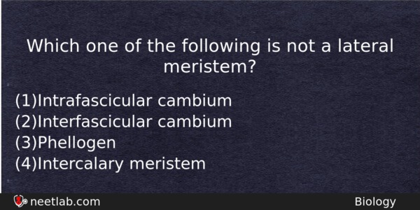 Which One Of The Following Is Not A Lateral Meristem Biology Question 